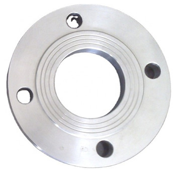 Stainless Steel Casting Railing Pipe Tube Flange 