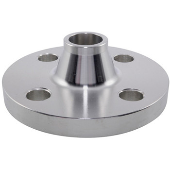Professional Factory of DIN Wn Flange High Quality Stainless Steel China Manufacturer 