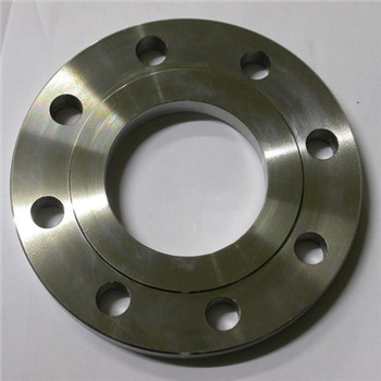 Stainless Steel Pn16 200 mm Forged Pipe Flange 