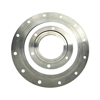 F304 Stainless Steel Flanges (PL, BL, SO, WN) 