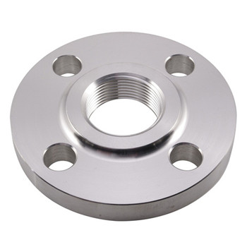 Forged SS316 Stainless Steel Flange 