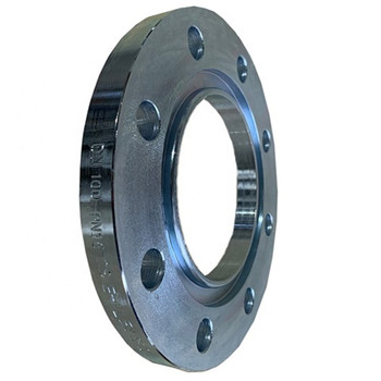 Sourcing Professional Factory of DIN Wn Flange High Quality Stainless Steel Manufacturer From China 