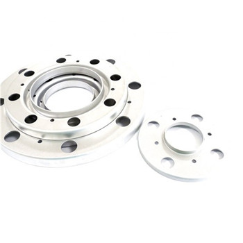 1.4845 Stainless Steel Flange 