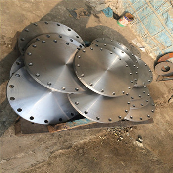 High Quality Stainless Steel Flange, Lap Joint Flanges Cdpl074 