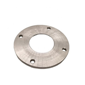 A182 F304L/F316L Stainless Steel Weld Neck Flange Forged Plate Flange 