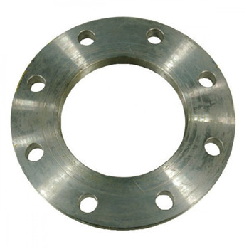 Hot Dipped Galvanized Surface Welding Neck Flanges 