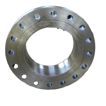 Duplex Stainless Steel Pipe Fitting Forfged Welding Neck Flange 